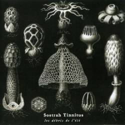 Sostrah Tinnitus : Les Débris de L'Été